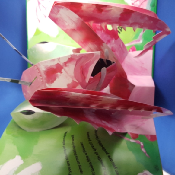 2/$20💥 Pop-Up BUGS Book, Hardcover c.2003 - Picture 8 of 11